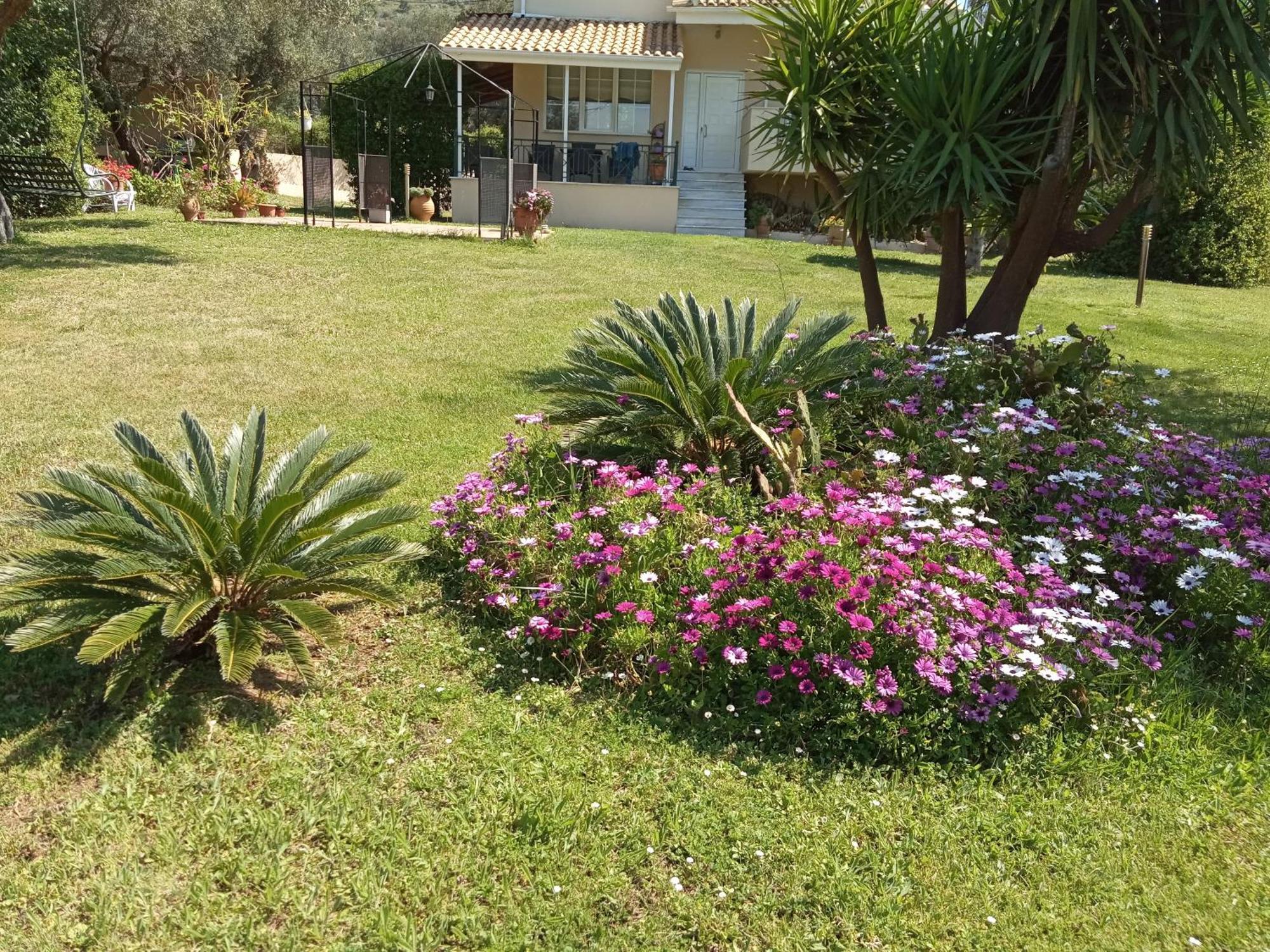 Sunny Garden Villa Plataria Bilik gambar